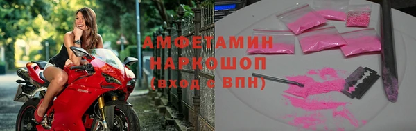 прущие грибы Коряжма