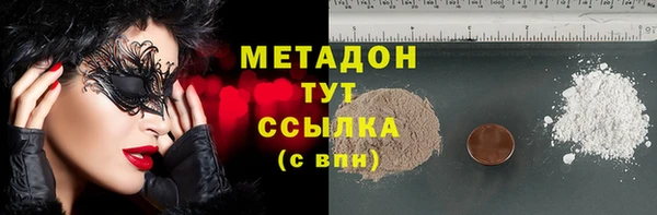 прущие грибы Коряжма