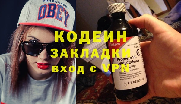 прущие грибы Коряжма
