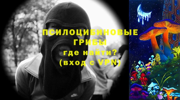 стаф Костерёво
