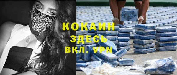 прущие грибы Коряжма